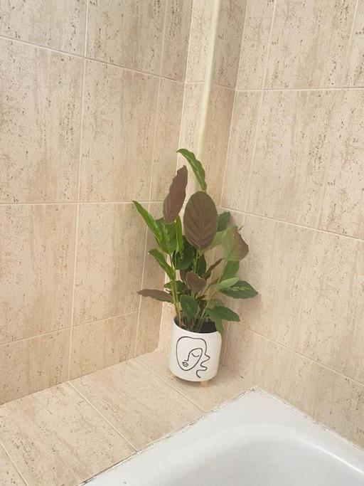 Appartement Fabuloso Apartamento En Con Piscina Benalmádena